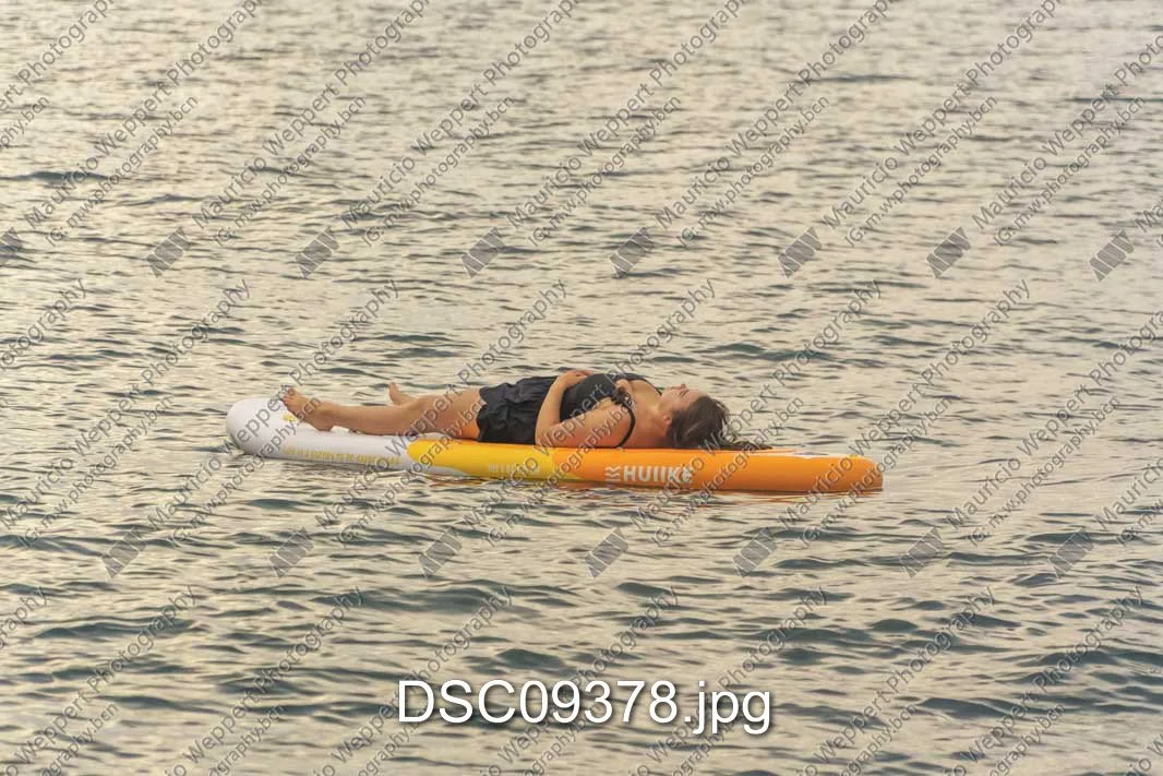 DSC09378.jpg