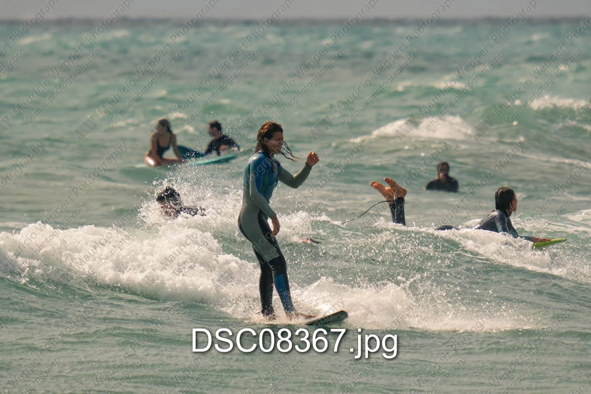 DSC08367.jpg