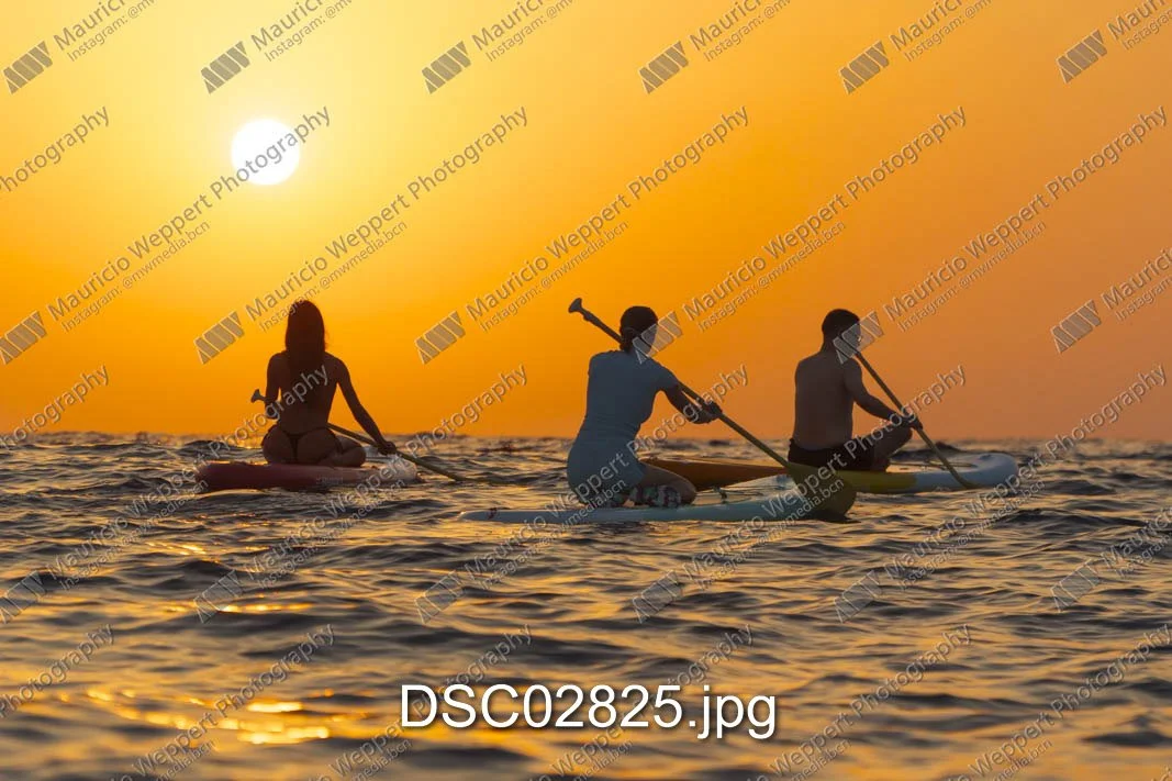 DSC02825.jpg