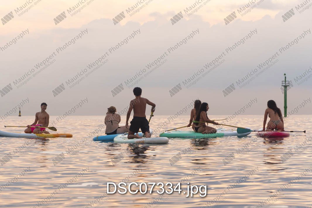 DSC07334.jpg