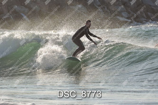 DSC_8773.jpg