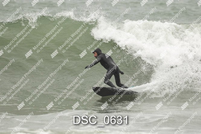 DSC_0631.jpg