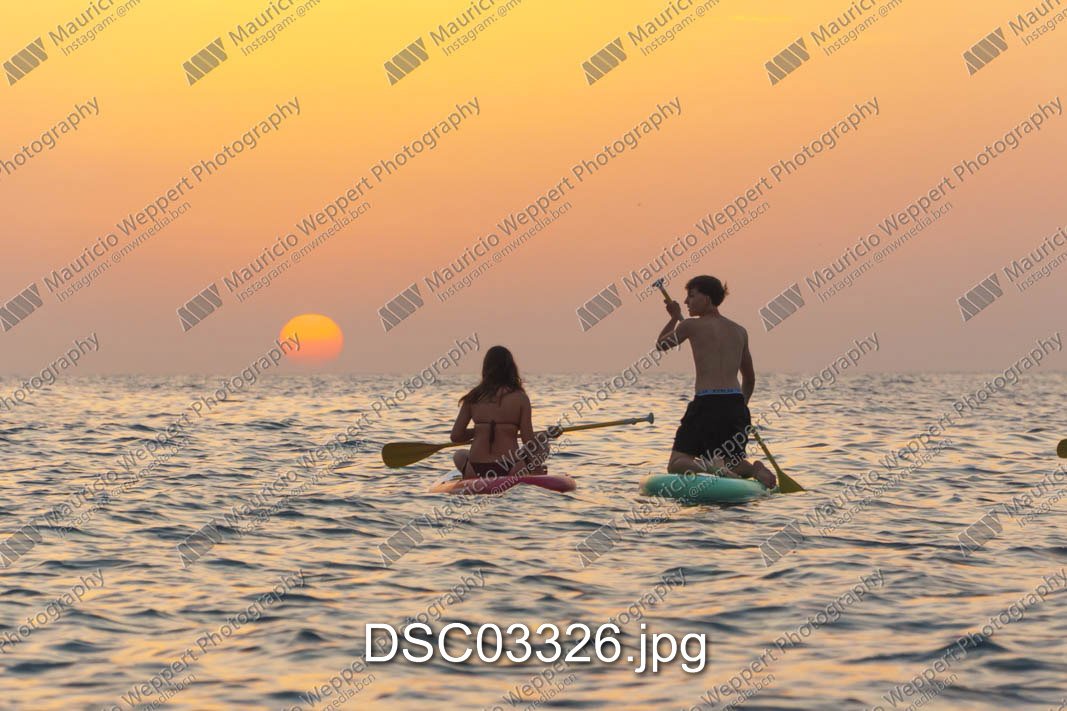 DSC03326.jpg
