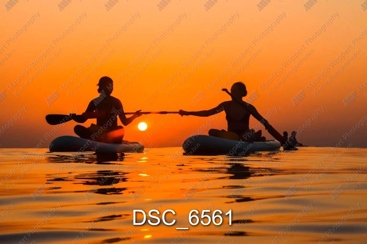 DSC_6561.jpg