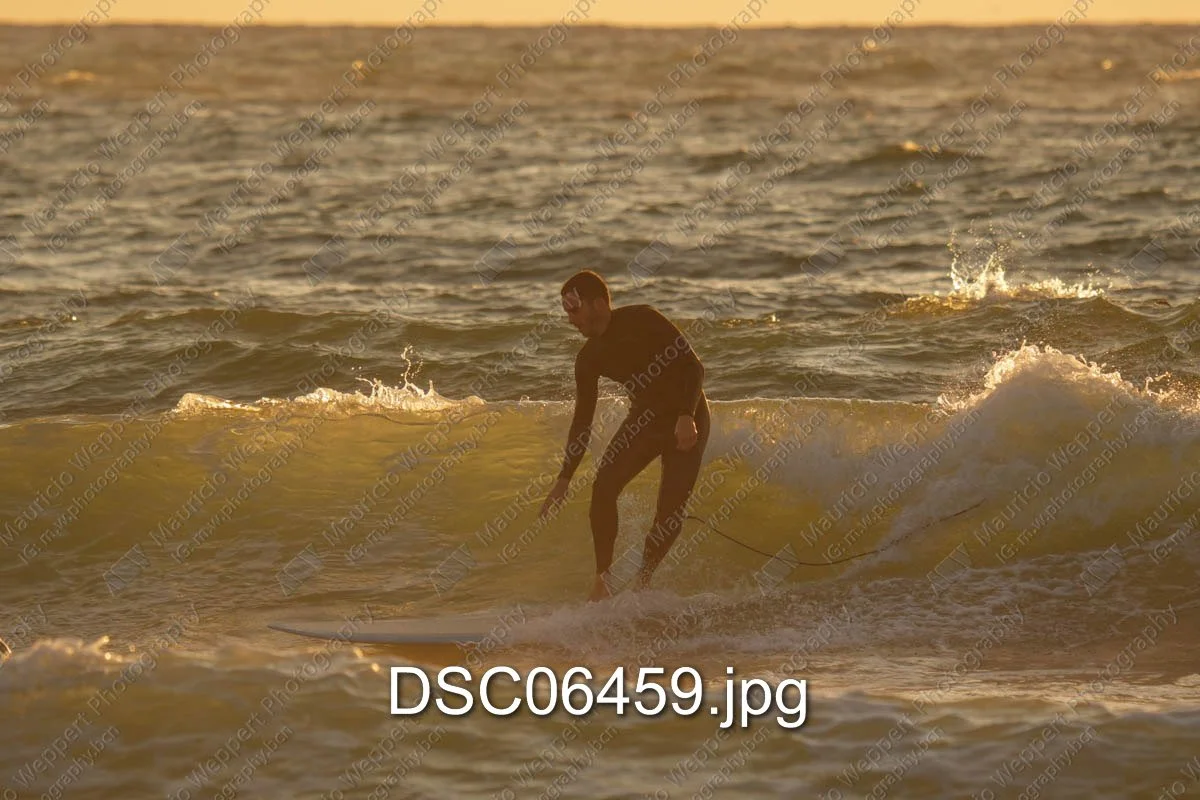 DSC06459.jpg