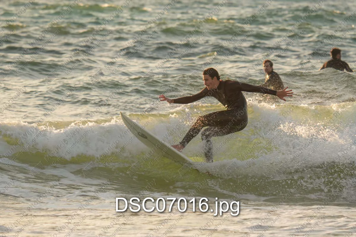 DSC07016.jpg