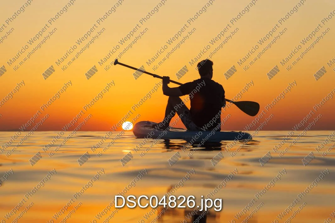 DSC04826.jpg