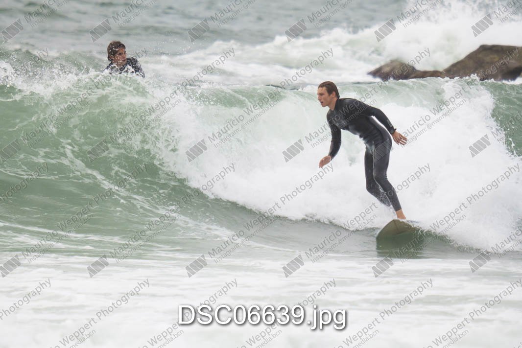 DSC06639.jpg