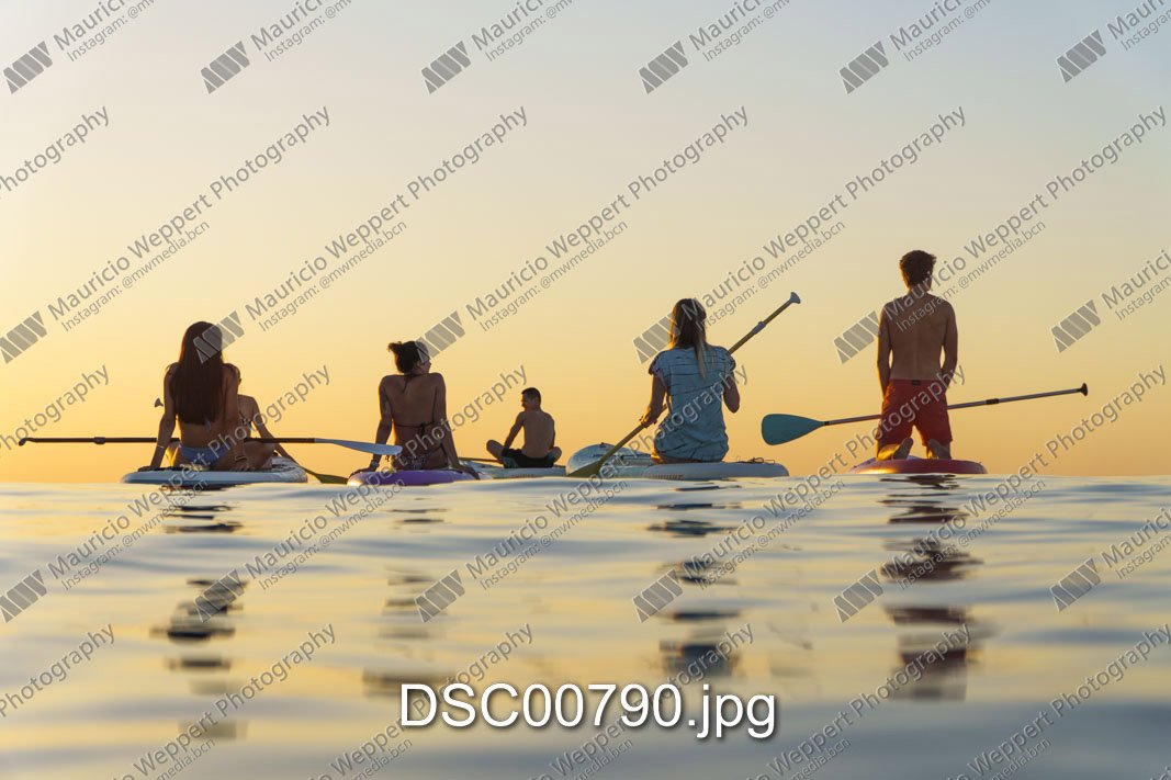 DSC00790.jpg