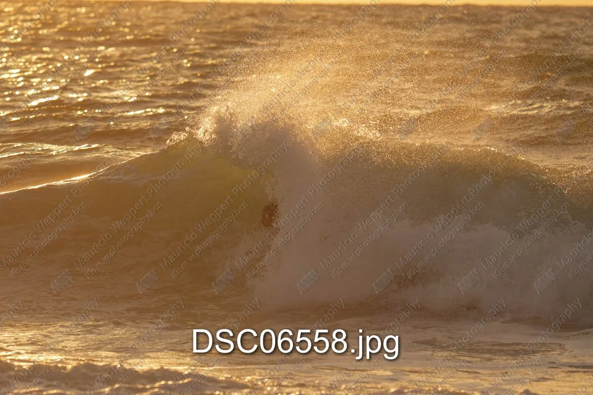 DSC06558.jpg