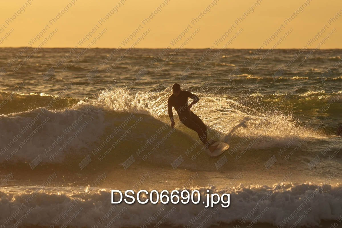 DSC06690.jpg