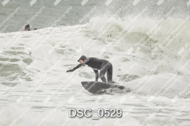 DSC_0529.jpg