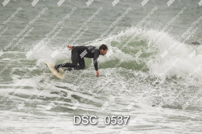 DSC_0537.jpg