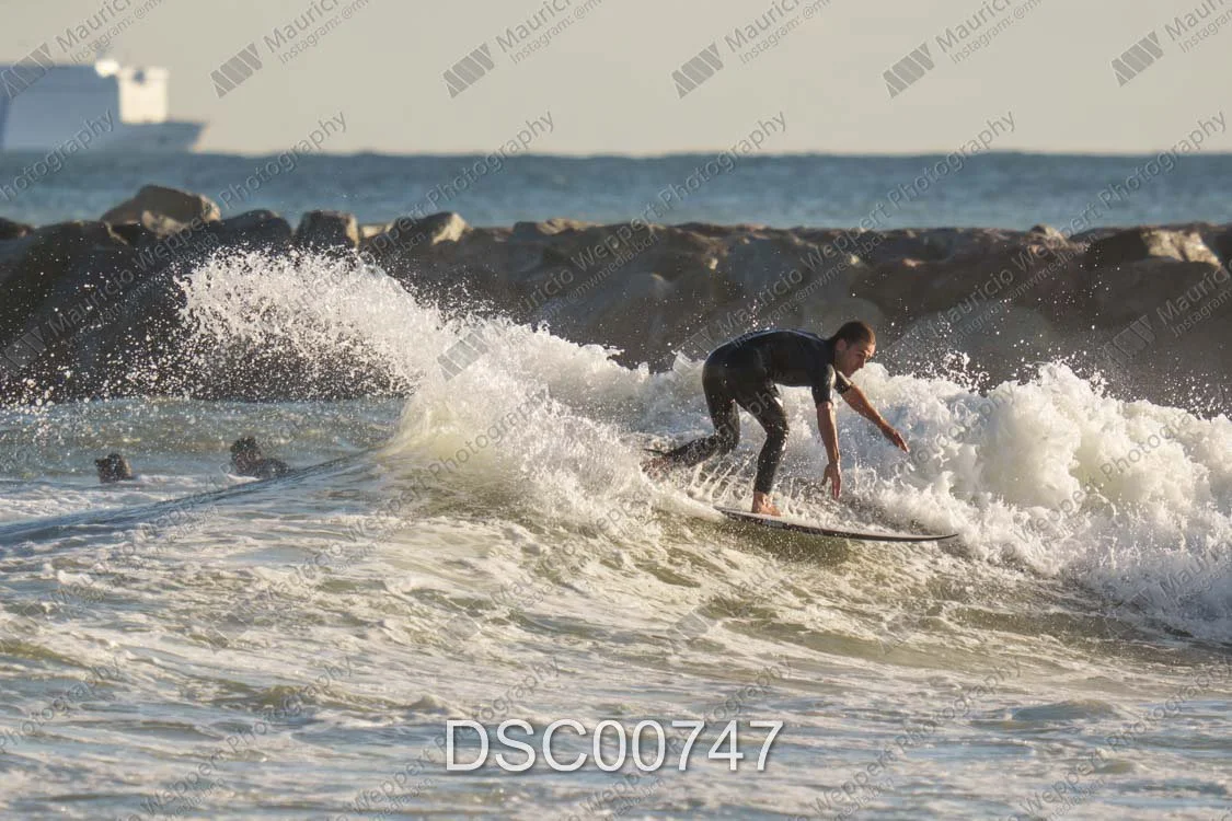 DSC00747.jpg