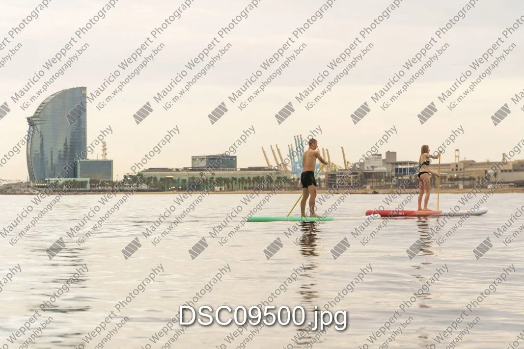 DSC09500.jpg