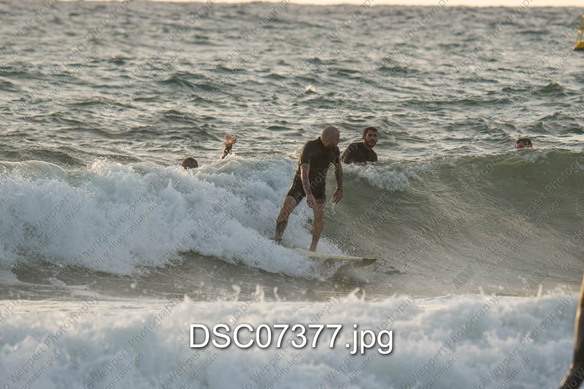 DSC07377.jpg