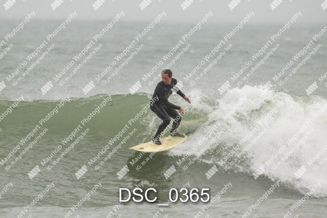 DSC_0365.jpg