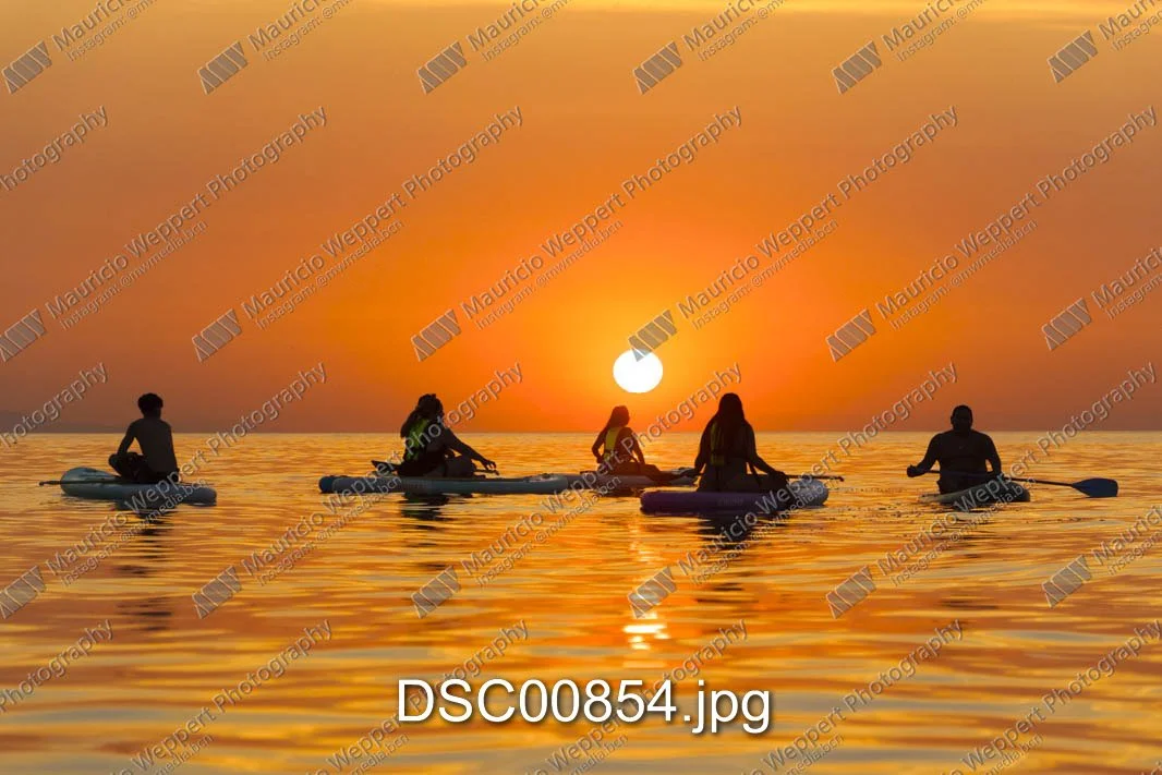 DSC00854.jpg