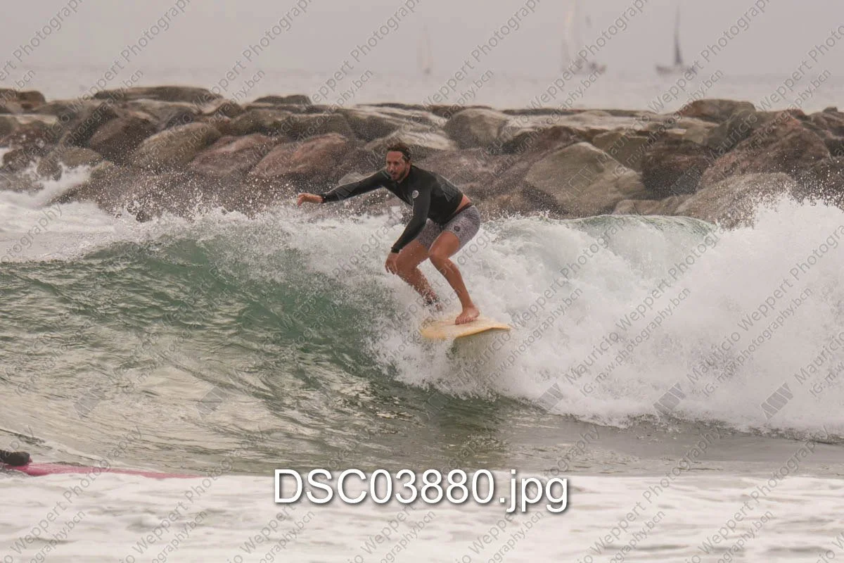 DSC03880.jpg