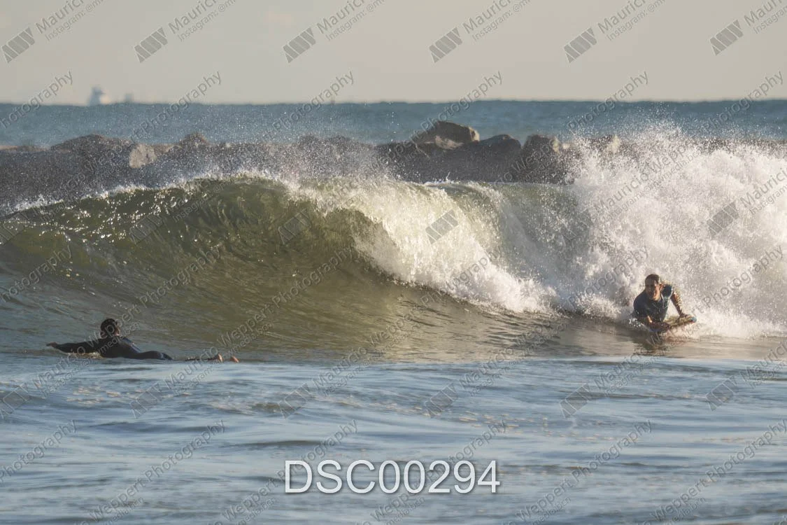 DSC00294.jpg