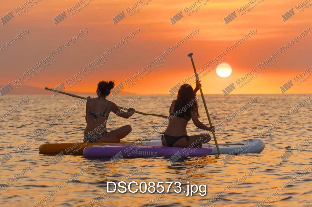 DSC08573.jpg