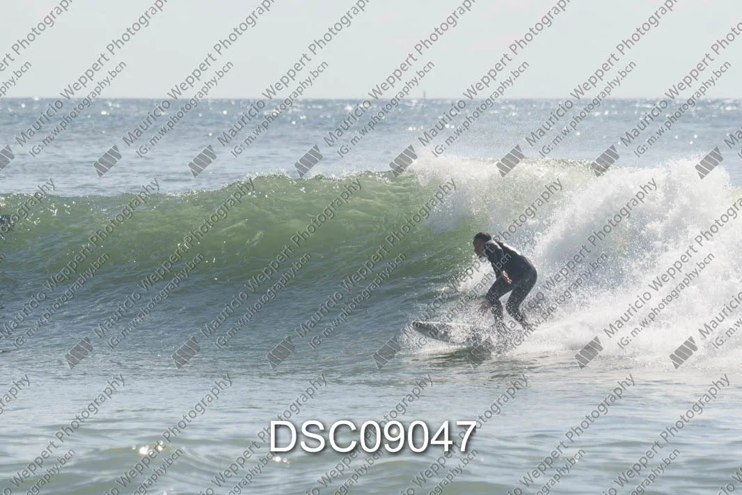 DSC09047.jpg