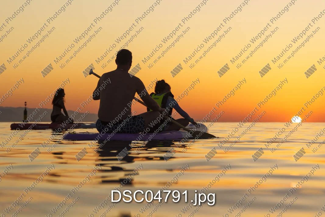 DSC04791.jpg