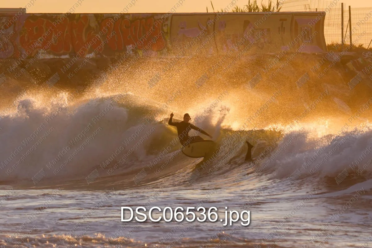 DSC06536.jpg