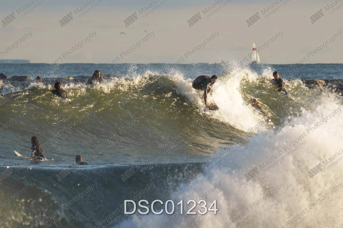 DSC01234.jpg