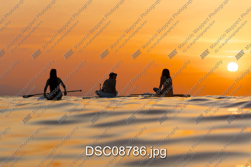 DSC08786.jpg
