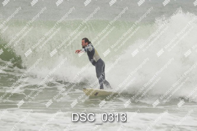 DSC_0313.jpg