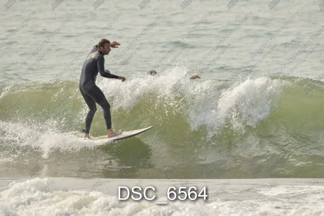 DSC_6564.jpg