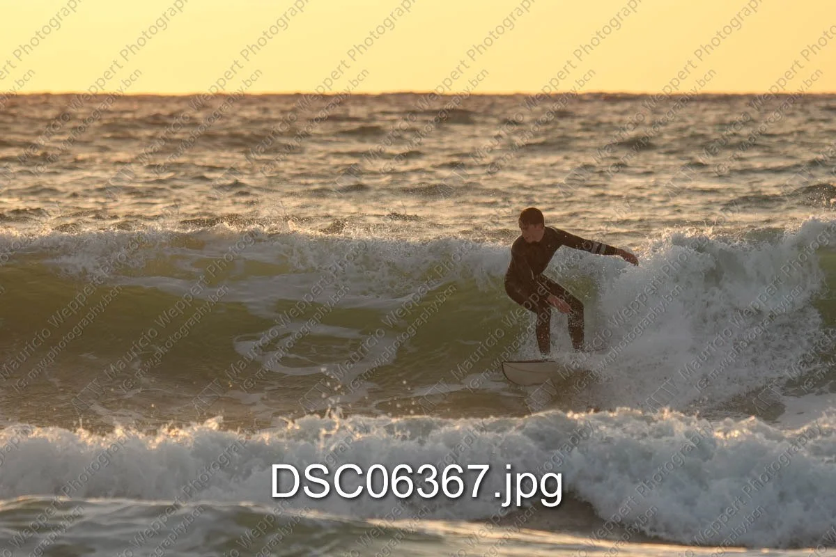DSC06367.jpg