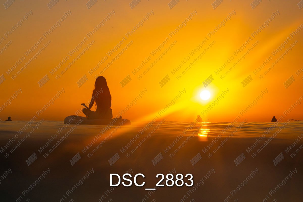 DSC_2883.jpg