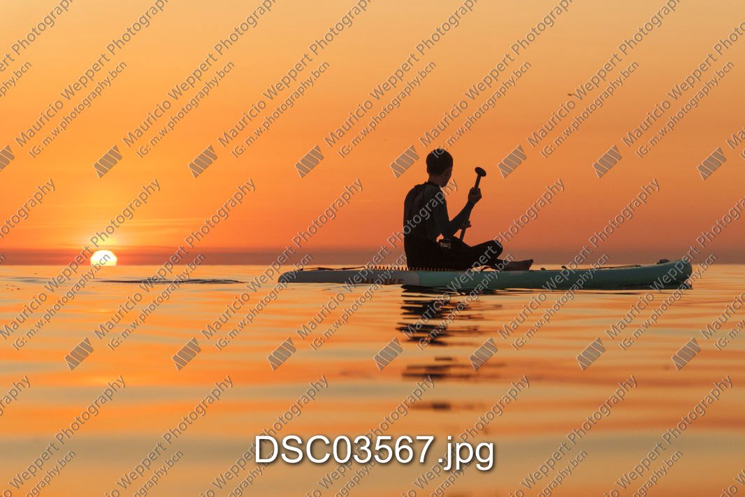 DSC03567.jpg