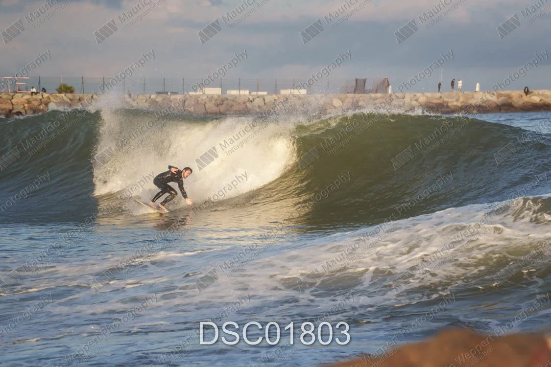 DSC01803.jpg