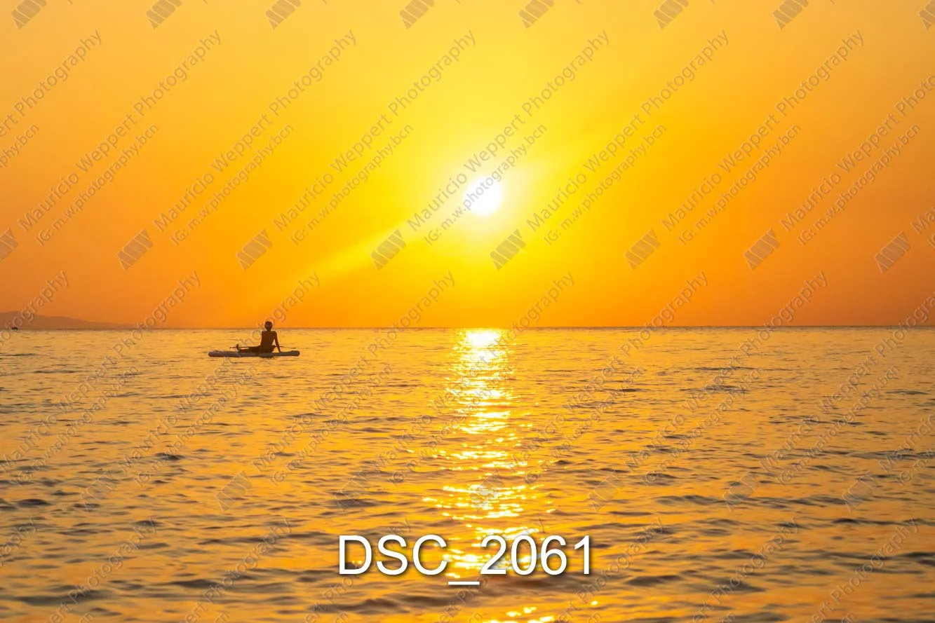 DSC_2061.jpg