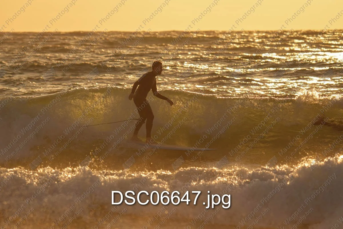 DSC06647.jpg
