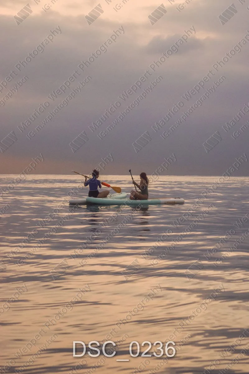 DSC_0236.jpg
