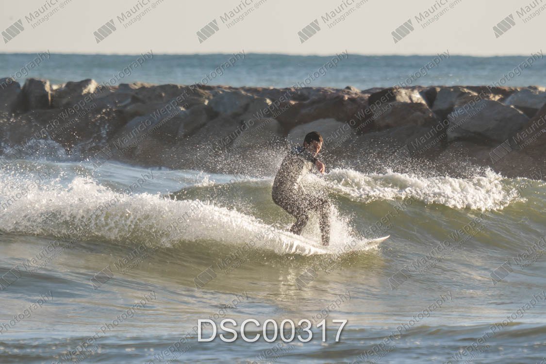 DSC00317.jpg