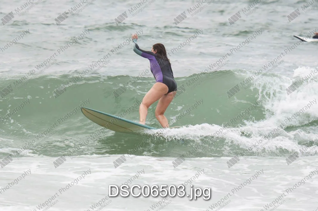 DSC06503.jpg