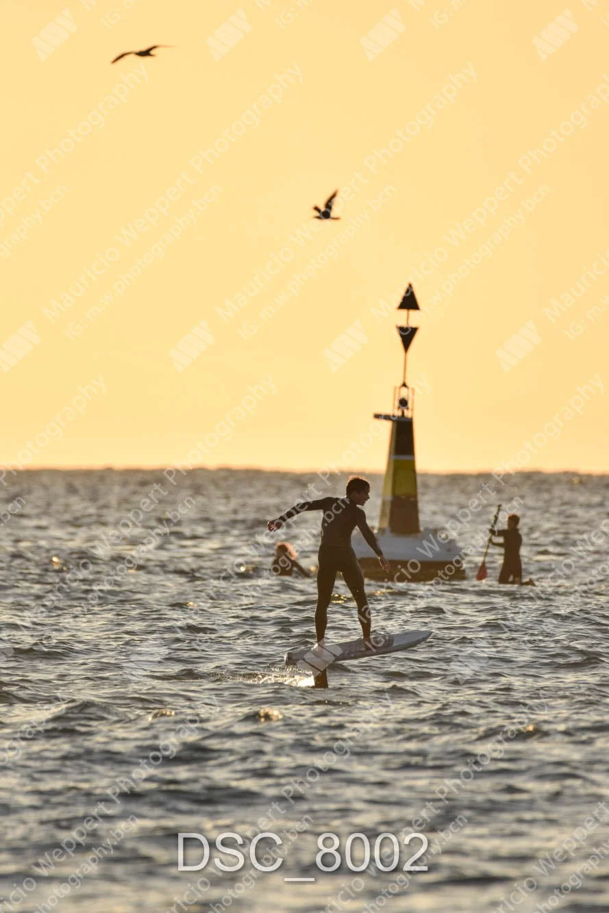 DSC_8002.jpg