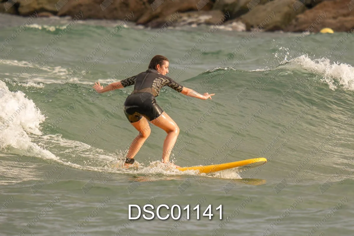 DSC01141.jpg