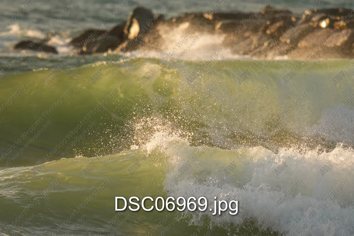 DSC06969.jpg