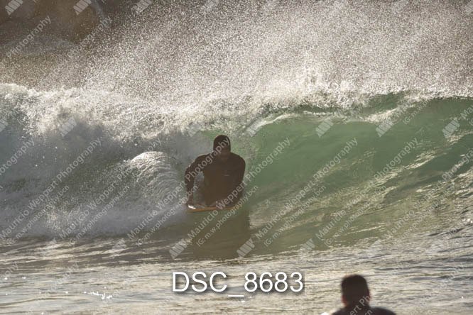DSC_8683.jpg