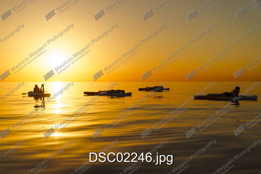 DSC02246.jpg