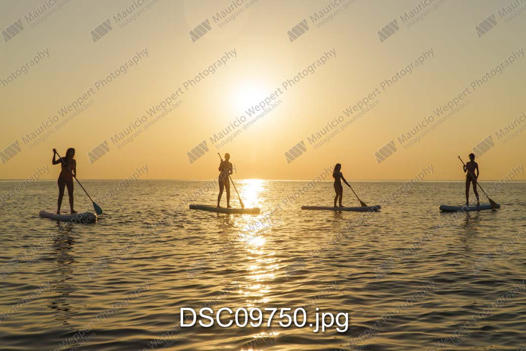 DSC09750.jpg