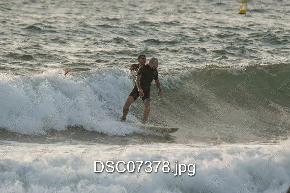 DSC07378.jpg