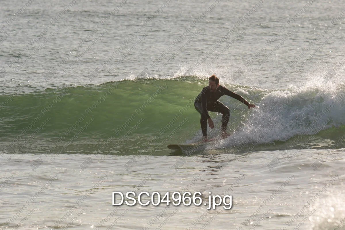 DSC04966.jpg