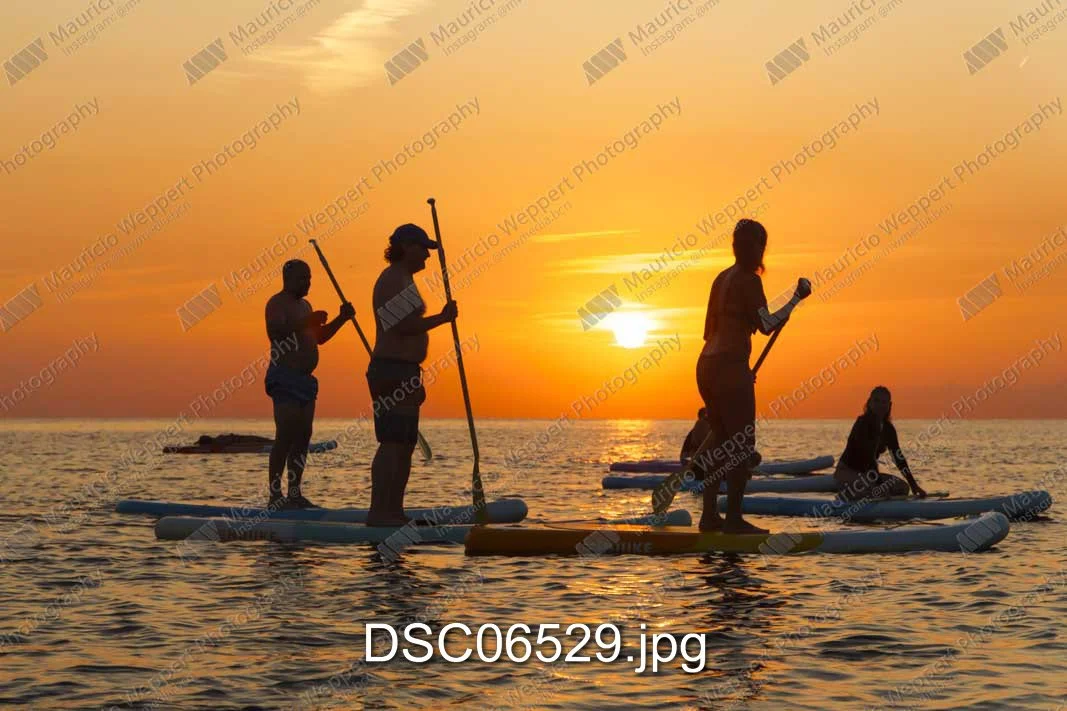 DSC06529.jpg